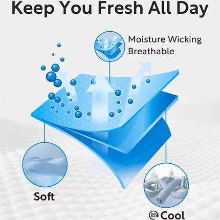 Men's PBG 3 Pack Pacific Polo 95% Cotton Underwear Multi Color Pack